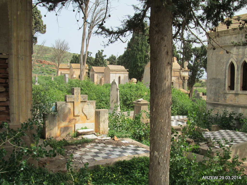 Arzew11 2014