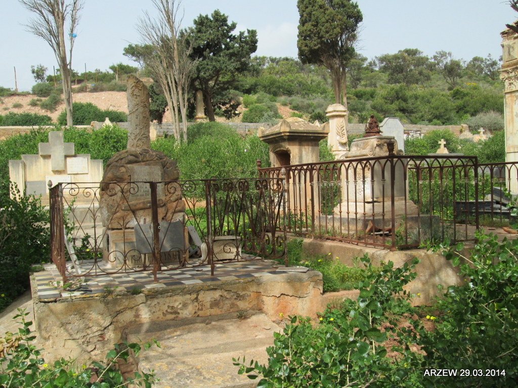 Arzew13 2014