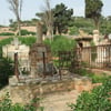 Arzew13 2014