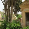 Arzew14 2014