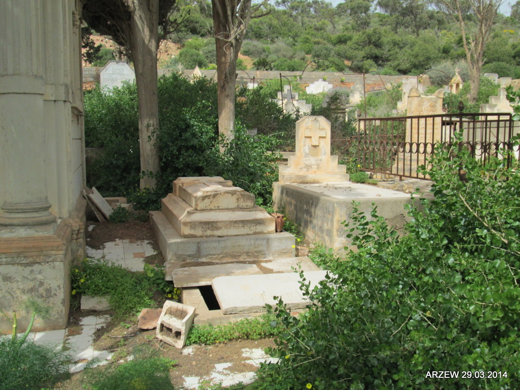 Arzew16 2014