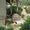 Arzew16 2014