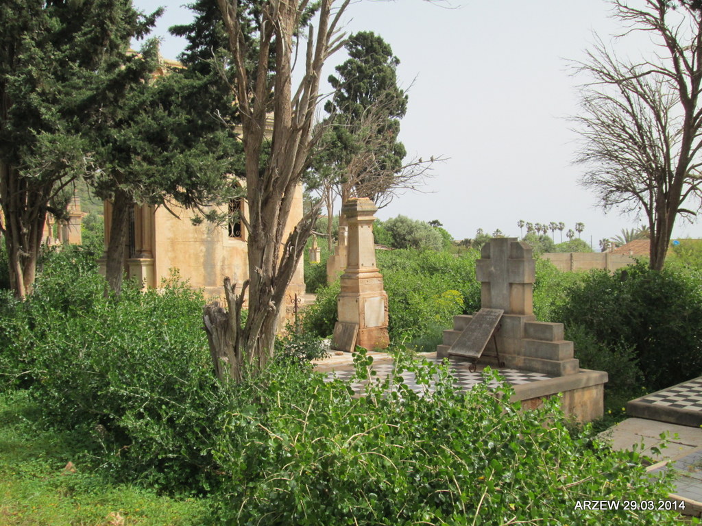 Arzew18 2014
