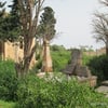 Arzew18 2014