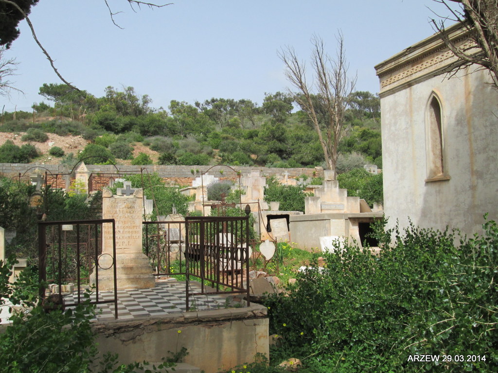 Arzew19 2014