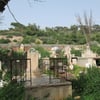 Arzew19 2014