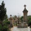 Arzew5 2014