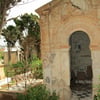 Arzew6 2014