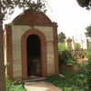 Arzew8 2014