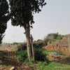 Arzew9 2014