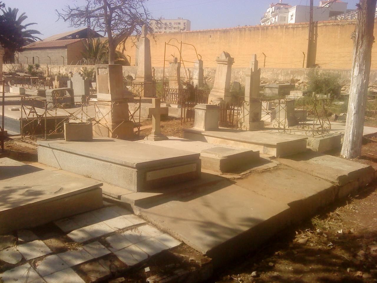 DSC00513