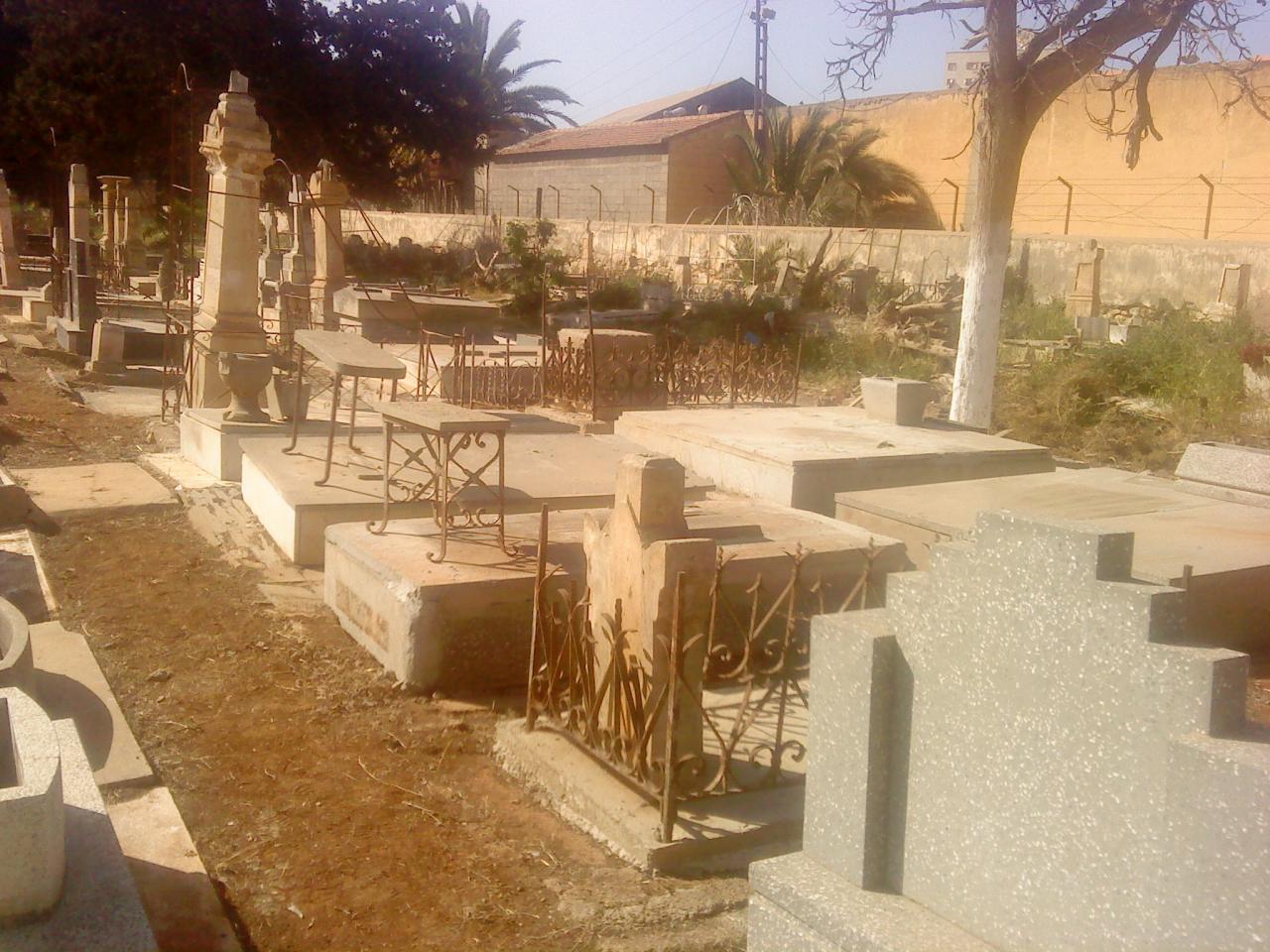 DSC00517