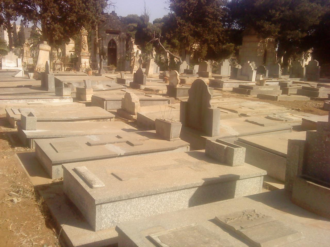 DSC00519