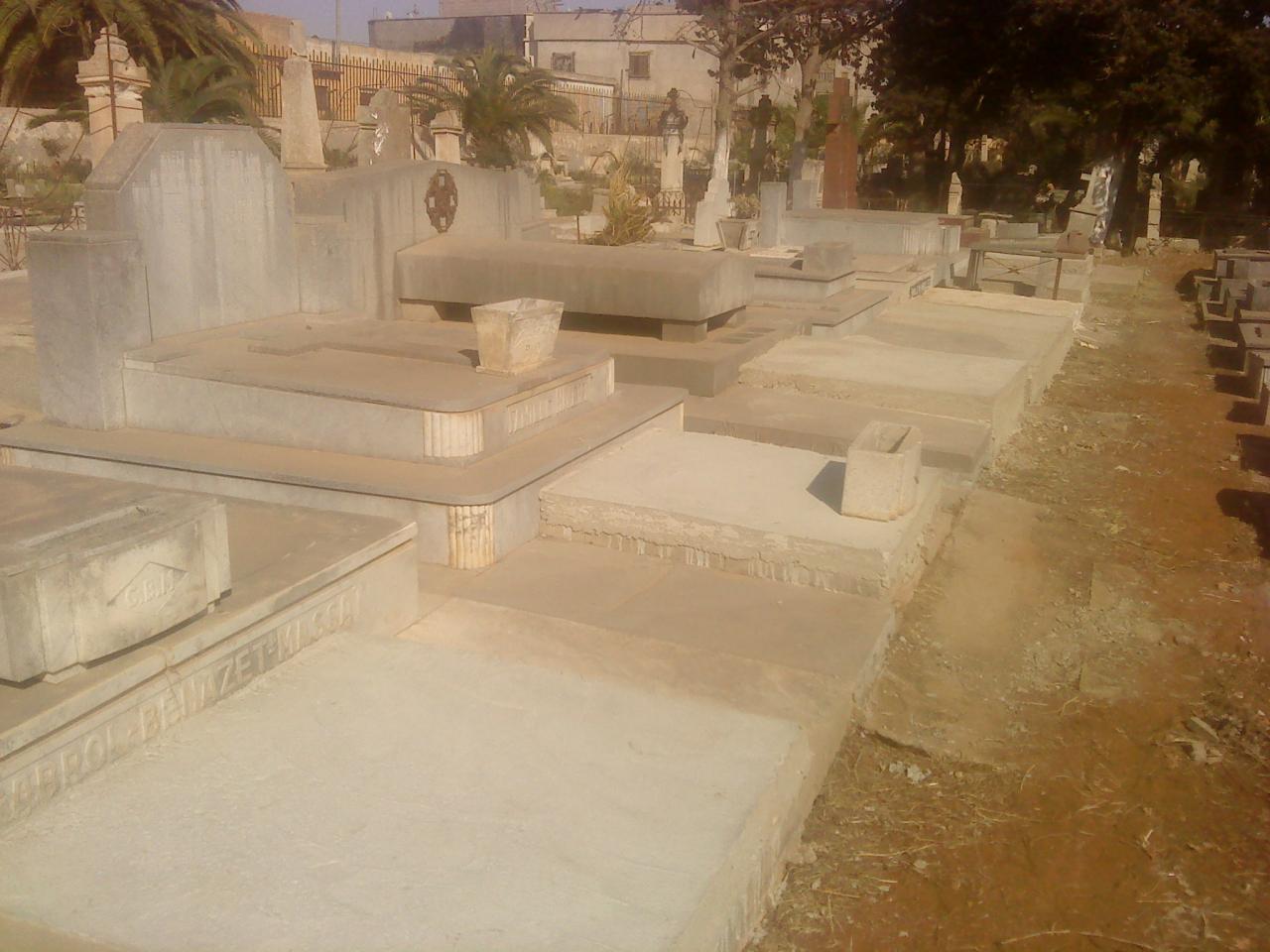 DSC00520
