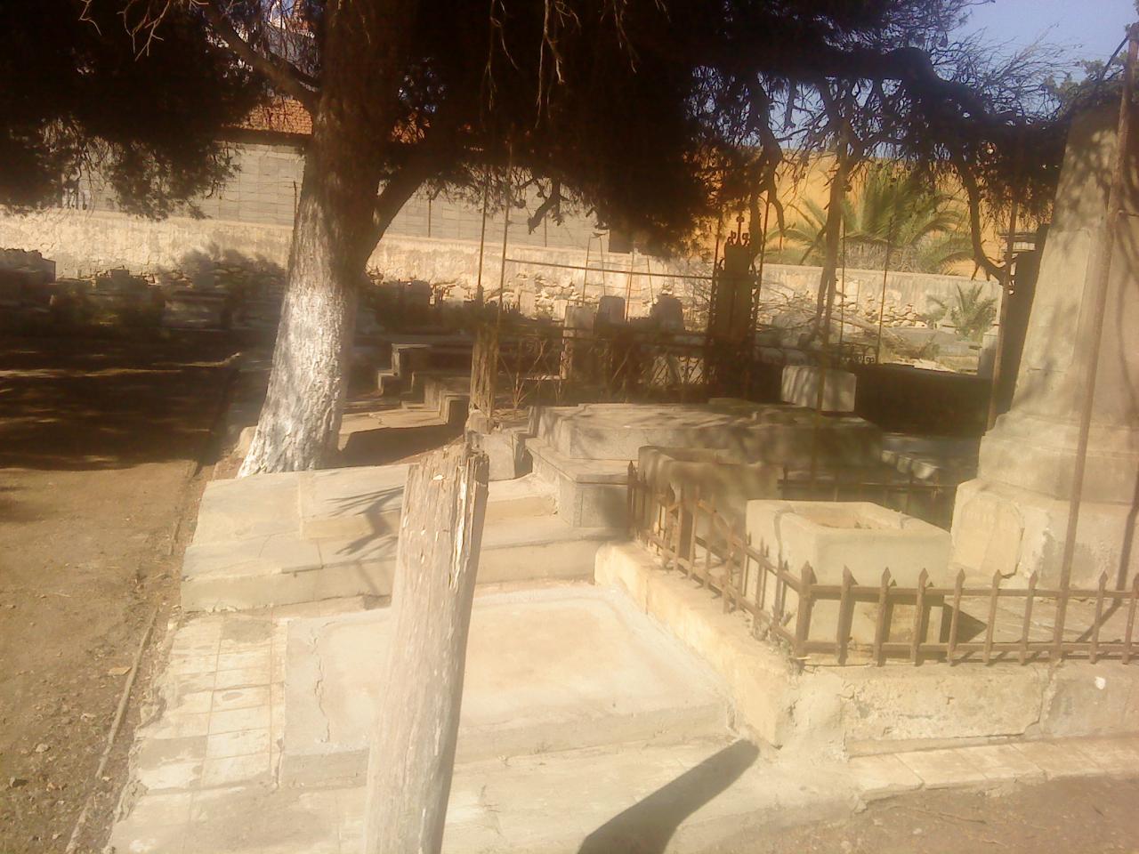 DSC00529