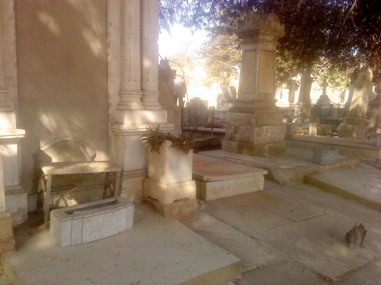 DSC00538