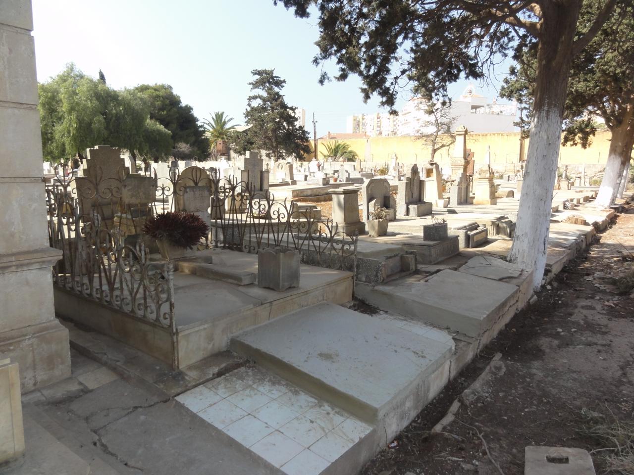 DSC00790
