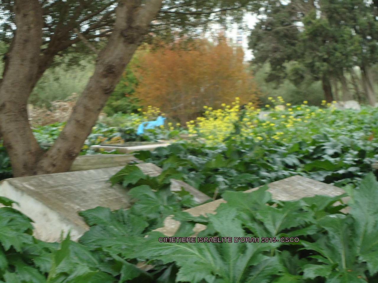 Oran cimetière Israélite