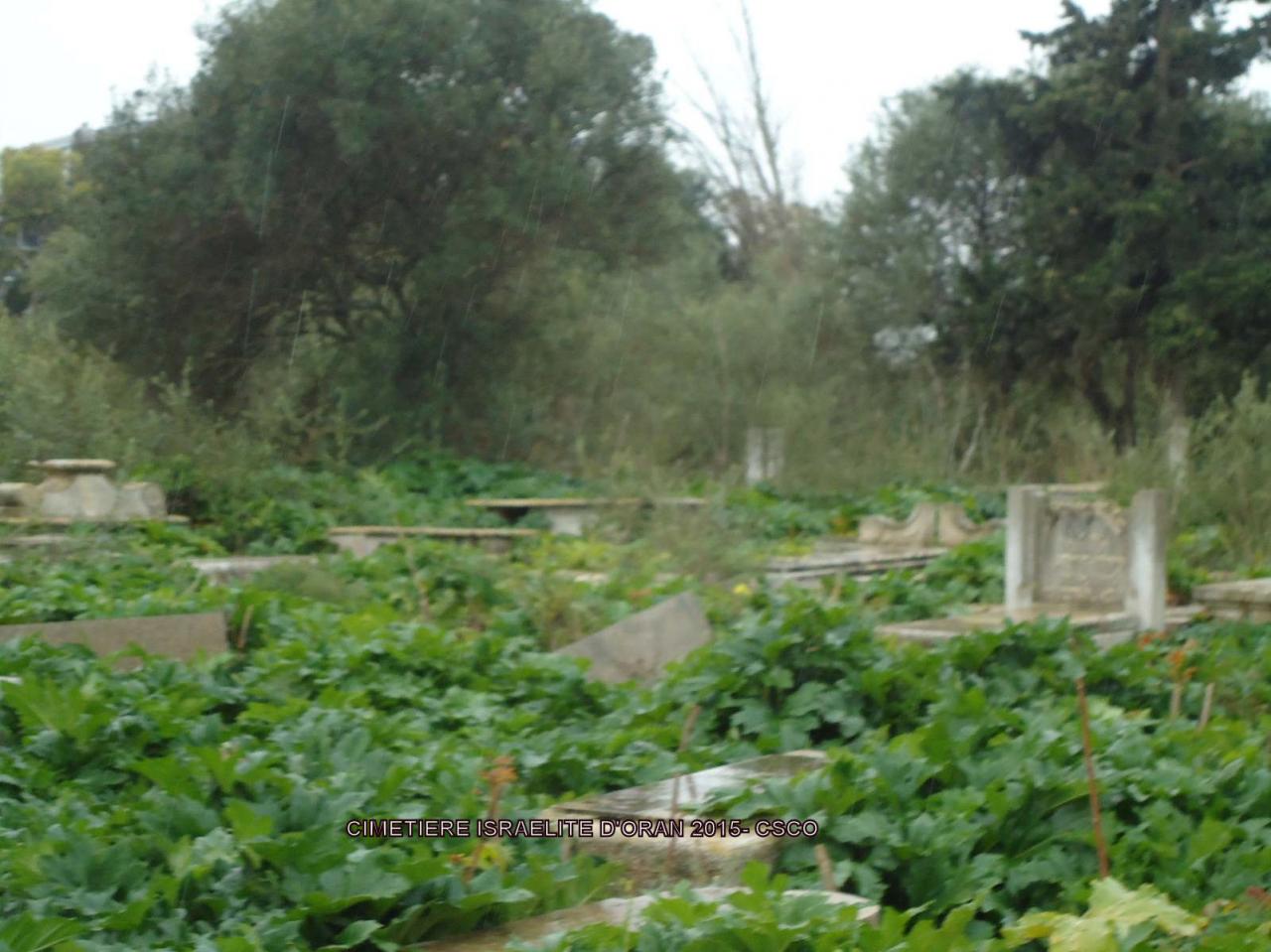 Oran cimetière Israélite