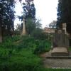 Dsc06733