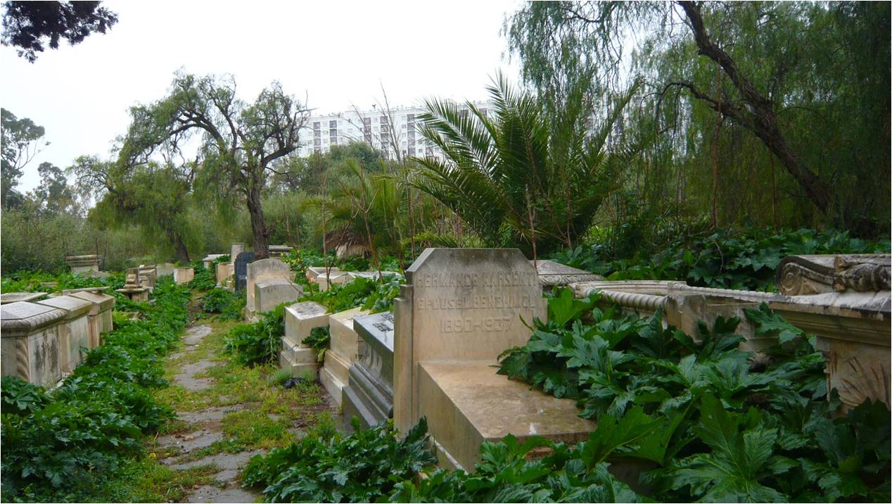 cimetière israélite désherbé du 06.11.2015