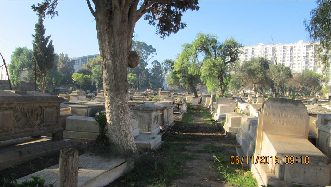 cimetière israélite désherbé du 06.11.2015
