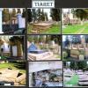 Tiaret
